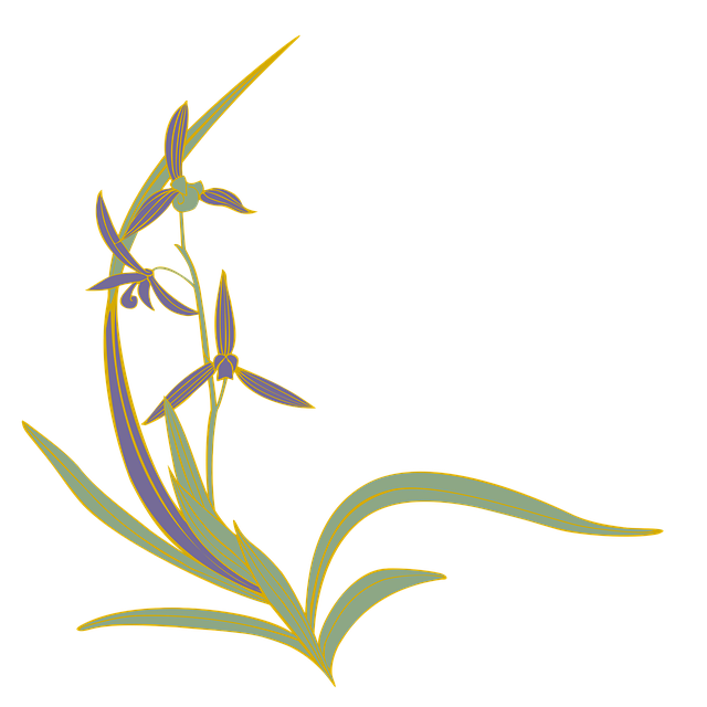 한란