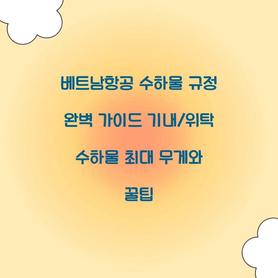베트남항공 수하물 규정