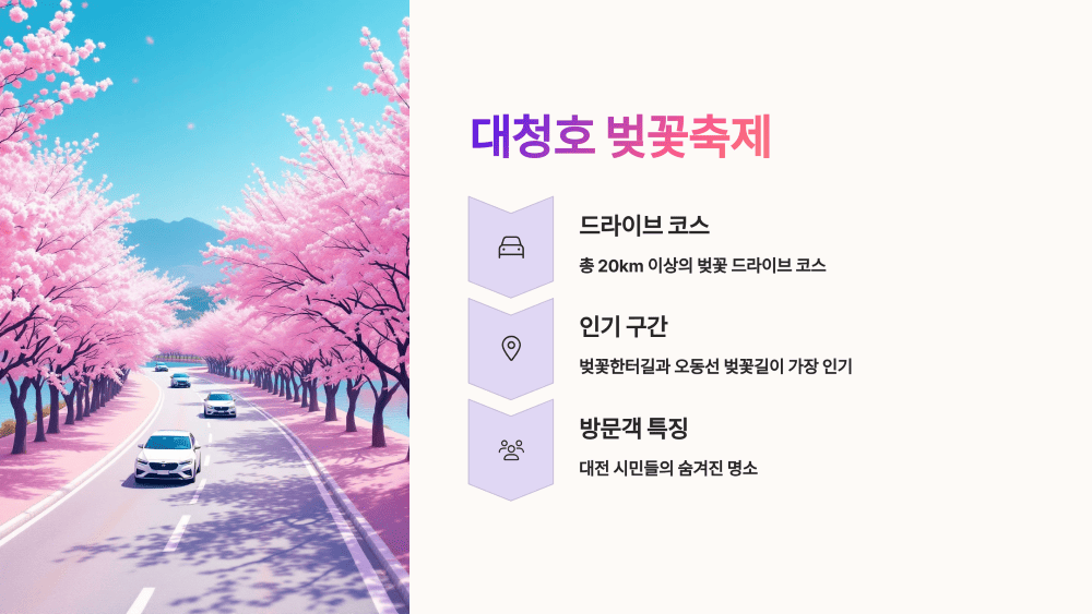 대청호 벚꽃축제 &ndash; 드라이브&amp;산책 코스 총정리