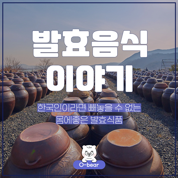 발효음식이야기