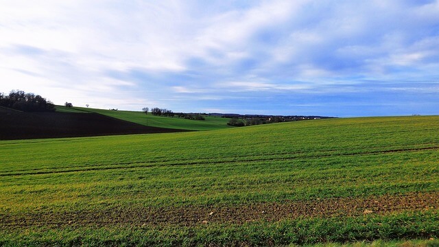 시골 사람들과의 거리감