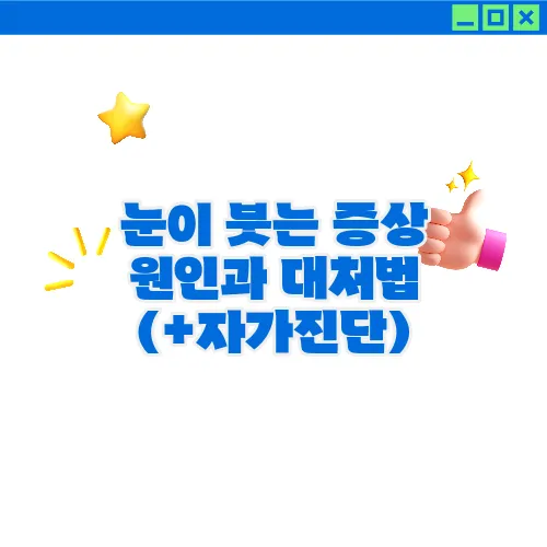 눈이 붓는 증상 원인과 대처법 (+자가진단)