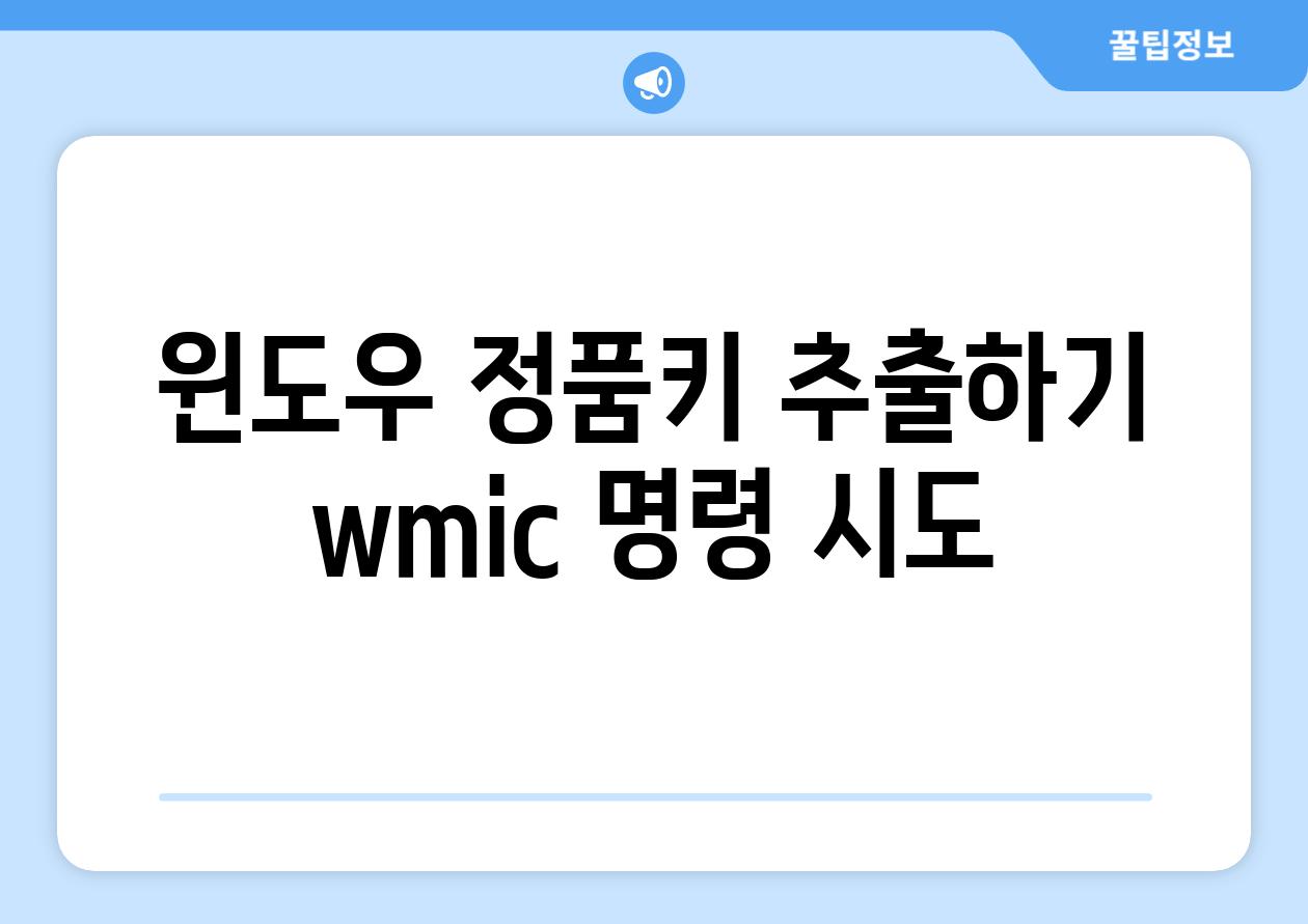 윈도우 정품키 추출하기 wmic 명령 시도