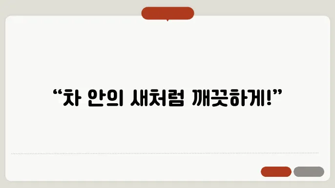 자동차 시트 어떻게 관리하나요?