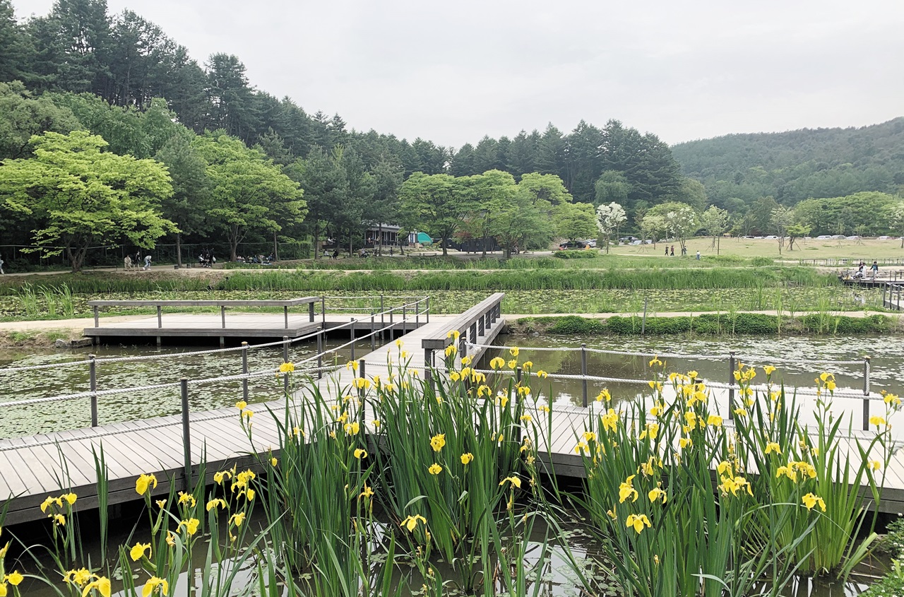 곰배령 예약하기