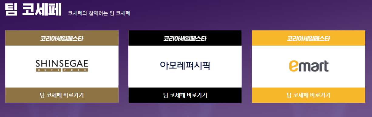 팀 코세페 사진