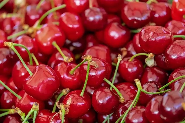 타트 체리 (Tart Cherry)