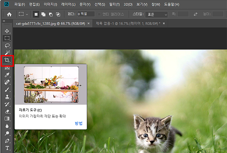 자르기-도구-선택