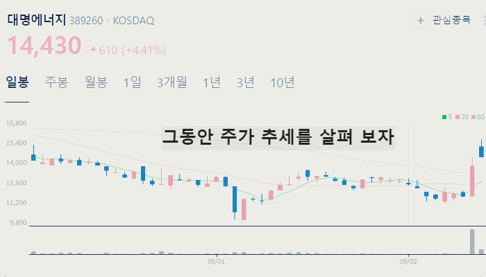 해리스 관련주 미국 대선 주식 TOP7