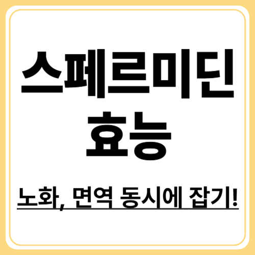 스페르미딘 효능 총정리! 노화&middot;심혈관&middot;뇌 건강 모두 도움 된다