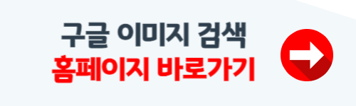 구글 이미지 검색 방법