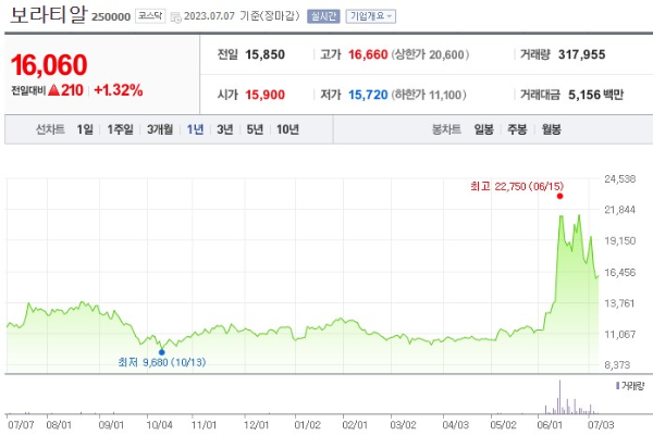 소금 관련주 보라티알 주가 전망