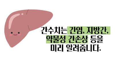 간수치 정상범위