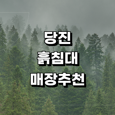 당진시 흙침대