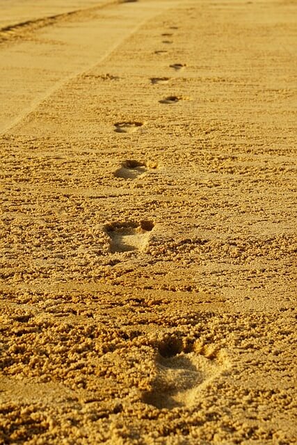 올바른 맨발걷기 방법, 장소, 시간, 속도, 주의사항