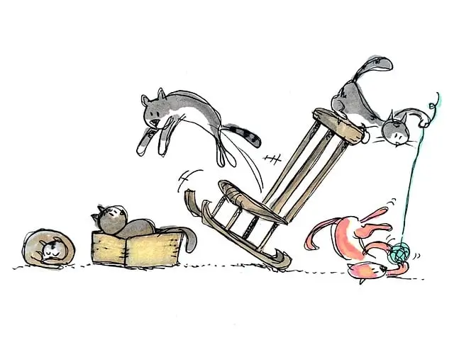 고양이-꿈-감정