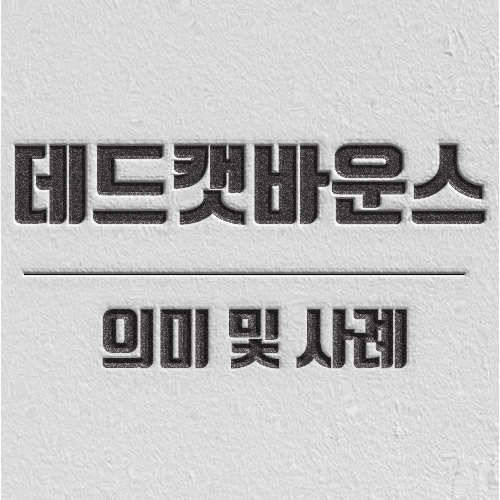 데드켓 바운스 데드캣 바운스