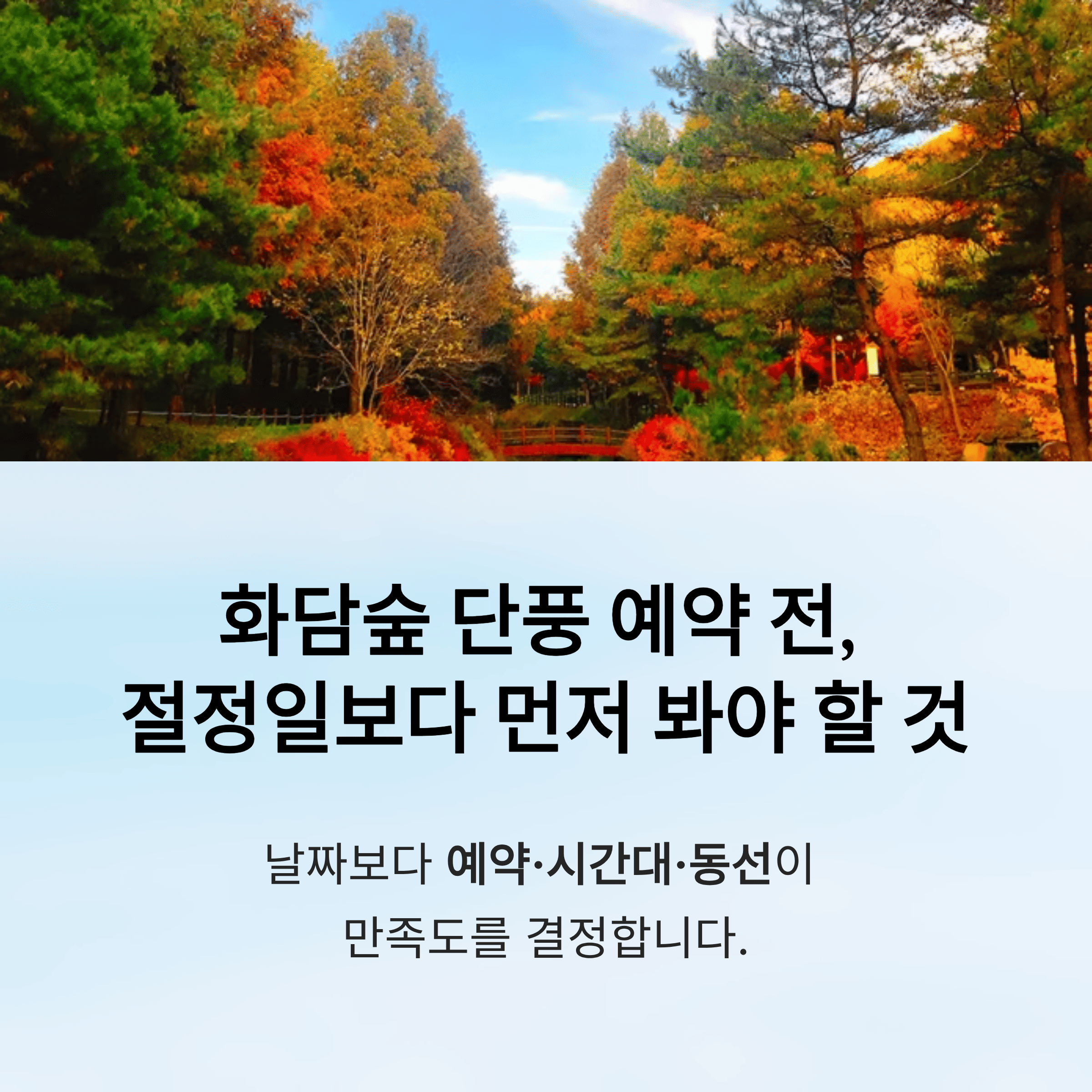 화담숲 단풍 시기