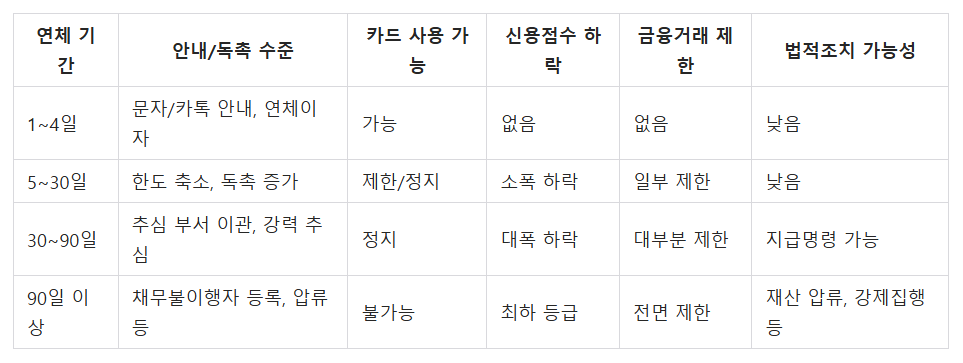 카드 연체 기간별 주요 불이익 요약표