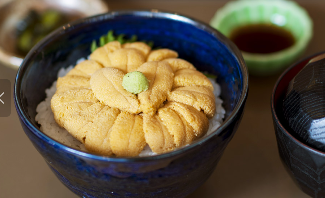 우니무라카미 성게덮밥