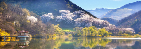 국내여행 한국의 아름다운 여행지