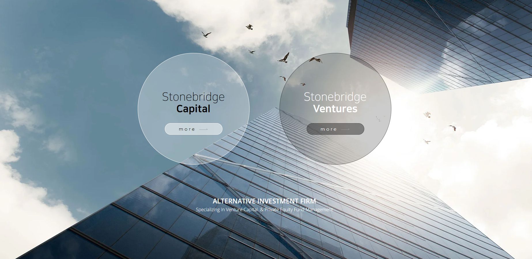 피노바이오 상장 관련주