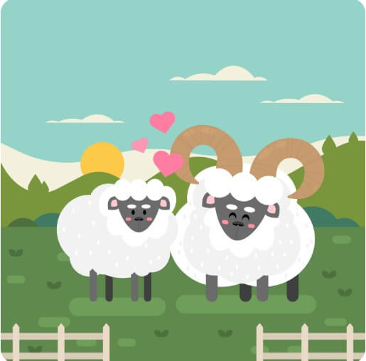 암컷과 수컷 양이 서로 사랑하는 모습