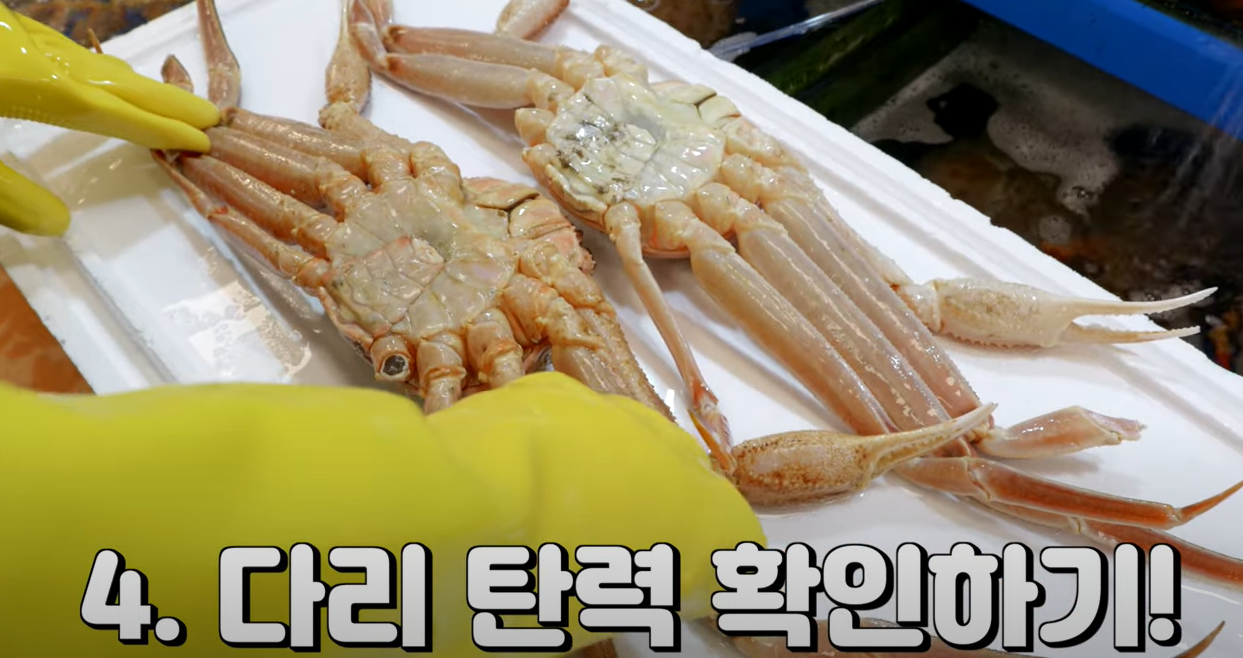 대게고르는법