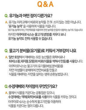 Q&A