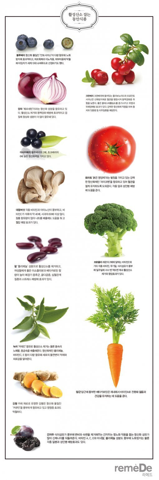 활성산소 제거하는 음식과 영양소