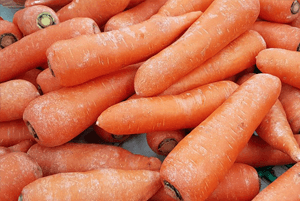 대장에 좋은 음식15