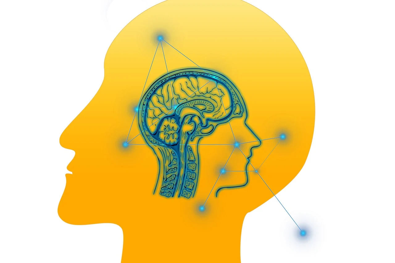 폴리베이걸 이론 : 인간관계를 변화시키는 '신경계 심리학'의 비밀