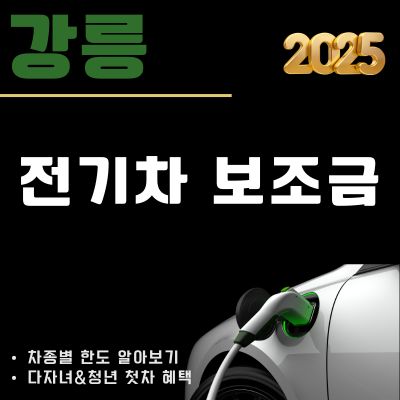 썸네일_2025 강릉 전기차 보조금 차종별 한도 조회 (아이오닉9, 아이오닉5, EV4, 테슬라 모델Y)