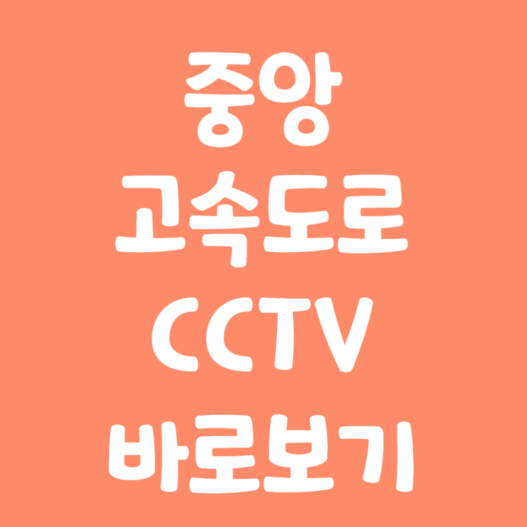 실시간 중앙고속도로 CCTV 바로보기
