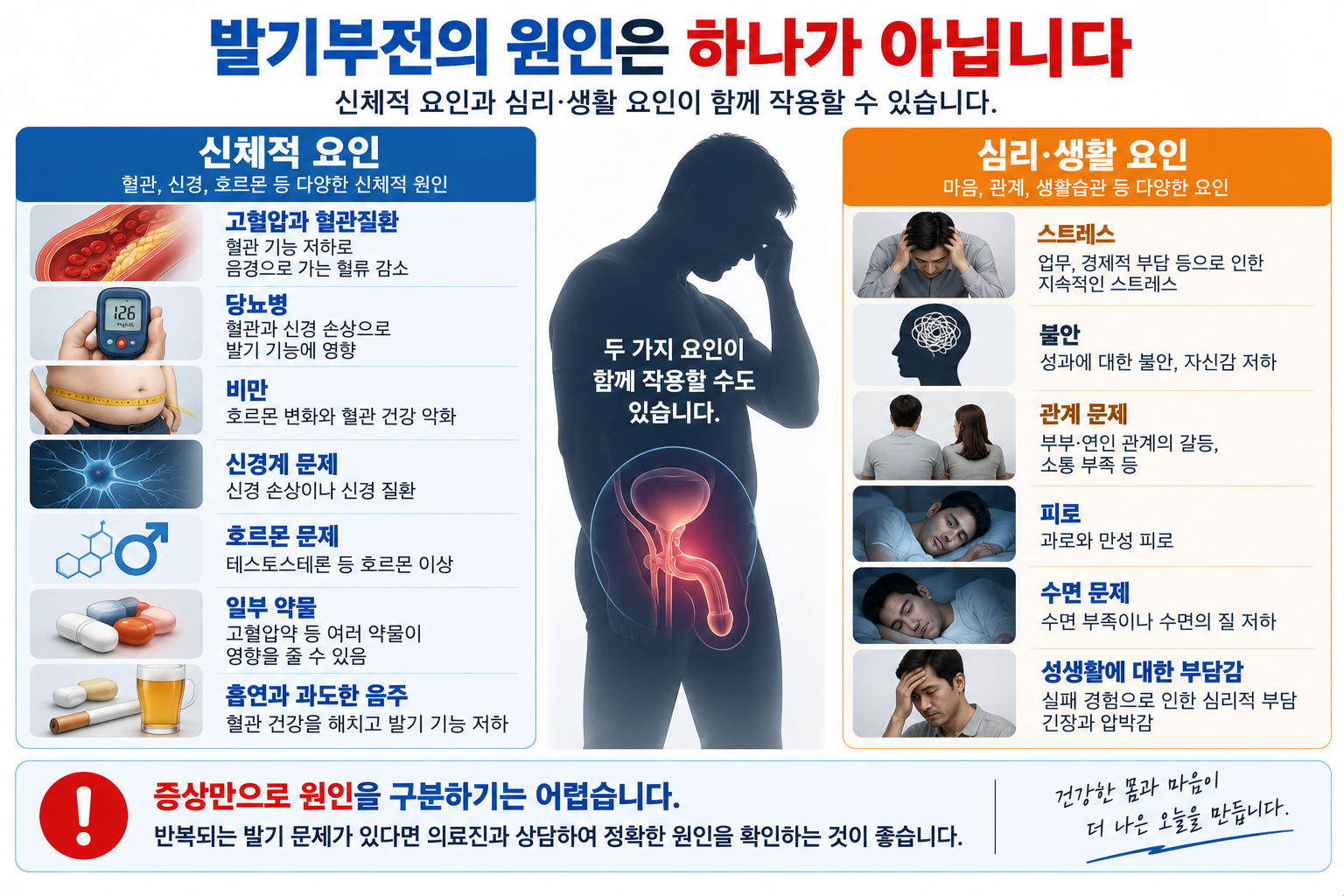 발기부전에 혈관·신경·호르몬·약물·심리 요인이 함께 작용할 수 있음을 보여주는 그림