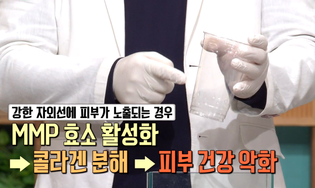 로즈마리추출물 효능