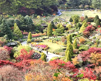 아침고요수목원 단풍시기_4