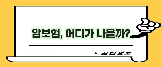 현대해상 암보험, KB손해보험 암보험, 라이나 생명 암보험 비교하기