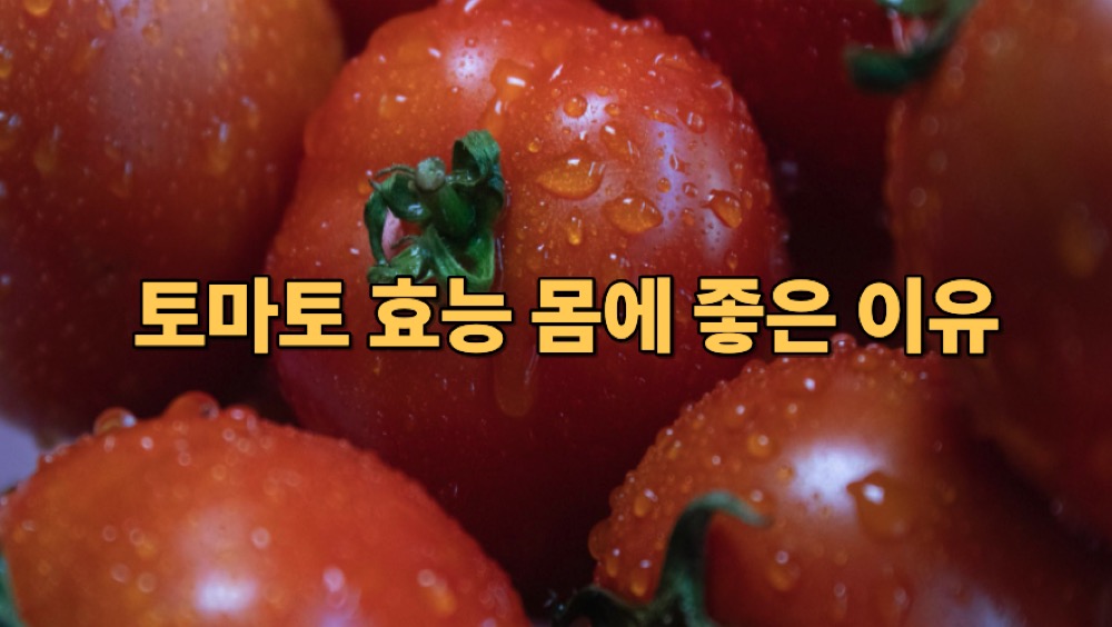 토마토 효능