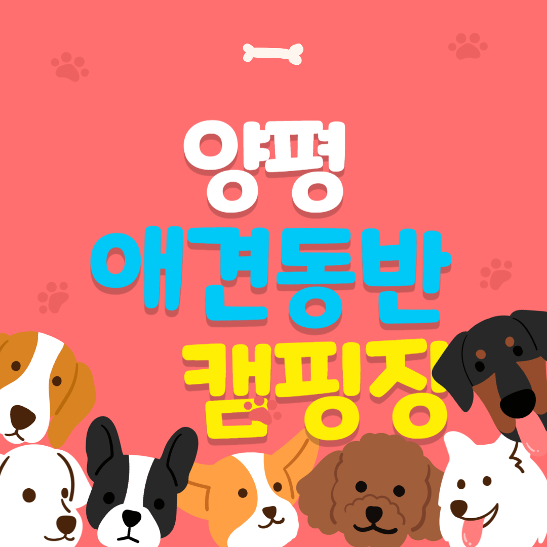 양평 애견동반 캠핑장