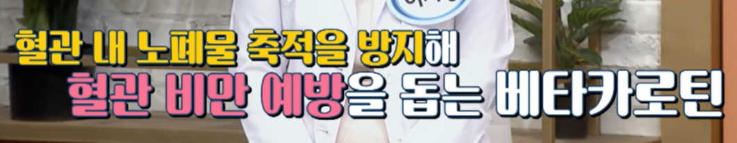 구기자 효능