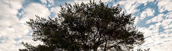 매너리즘에서 벗어나는 방법