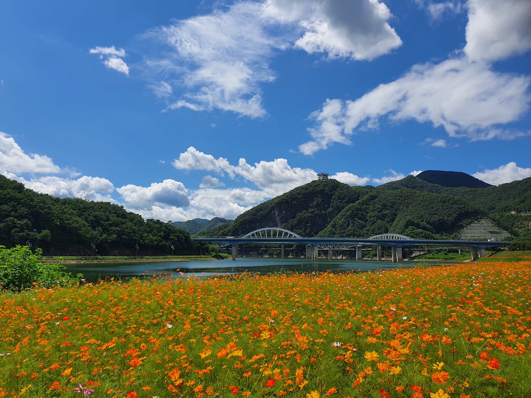 Danyang