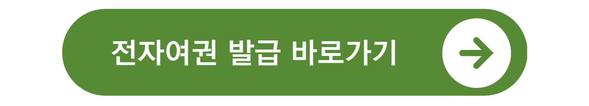 여권사진 규정
