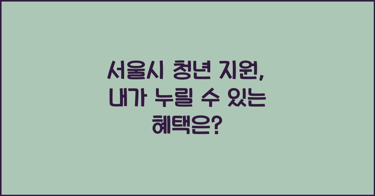 서울시 청년 지원