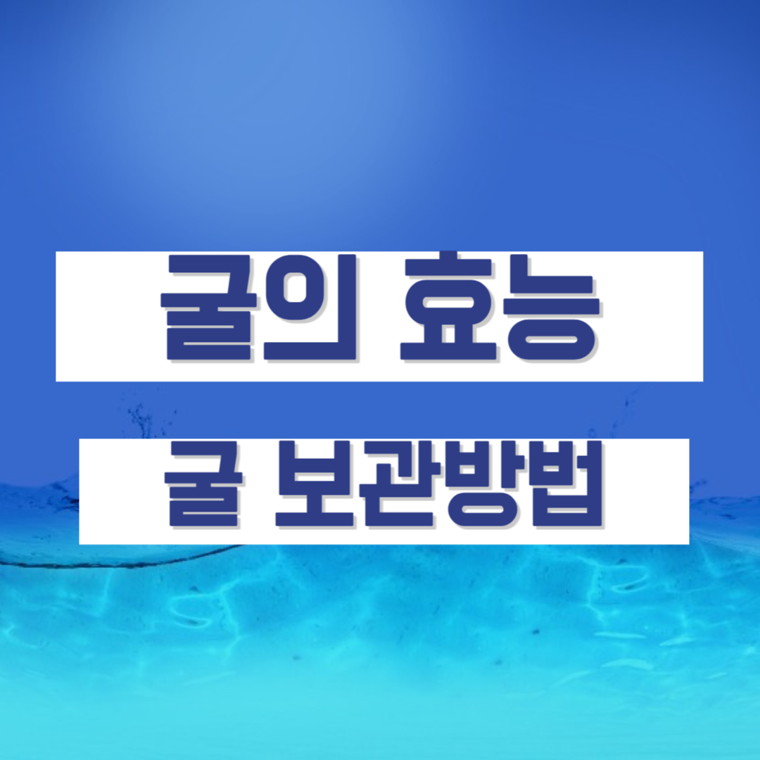 굴의 효능 굴 보관방법