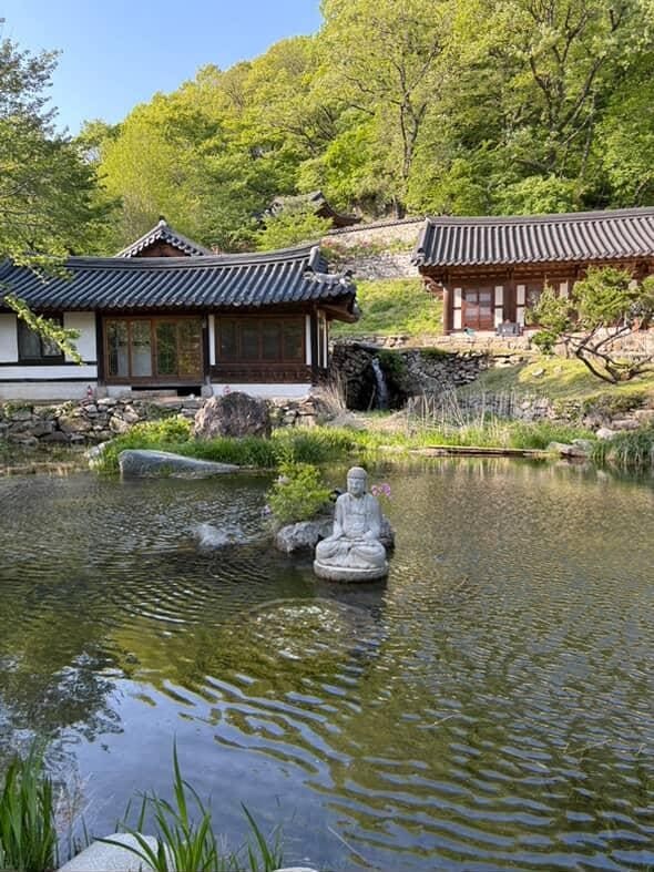 묘적사 봄 연못 위 불상