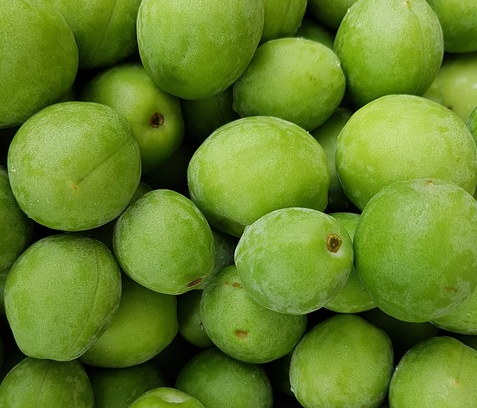 담석증-좋은음식-매실