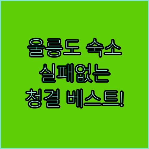 실패 없는 울릉도 숙소 선택법 위치와..