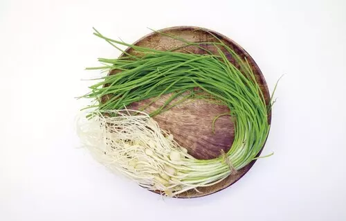 달래 이미지